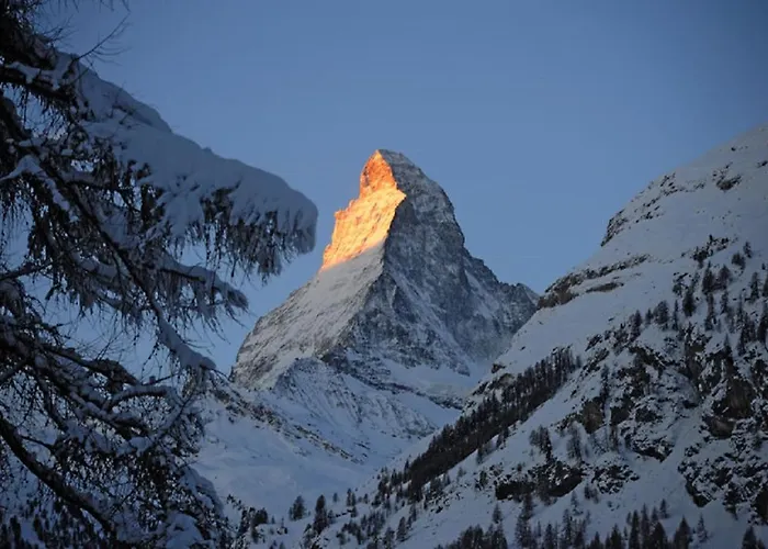 Studio Superior Brunnmatt